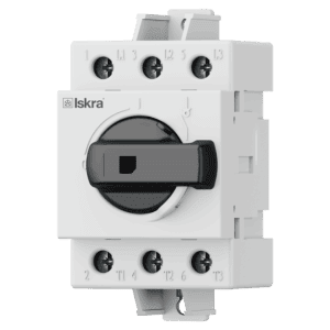 Switch disconnectors DSN